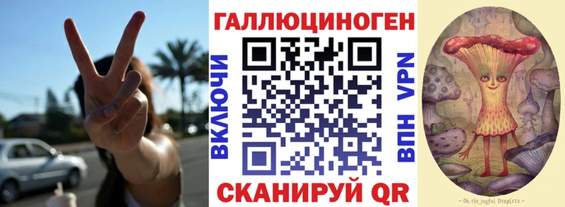 дарк нет официальный сайт  мега рабочий сайт  Бабаево  Псилоцибиновые грибы Psilocybe 